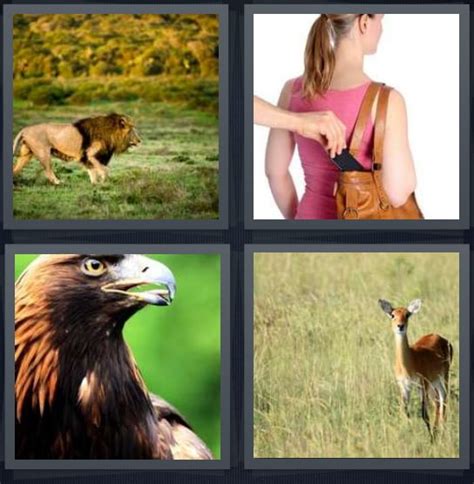 4 pics 1 word level 727